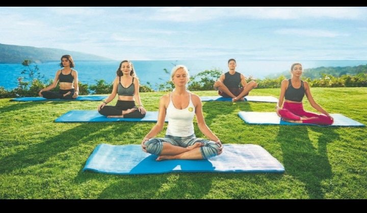 Health Threetrees Com VN Secrets